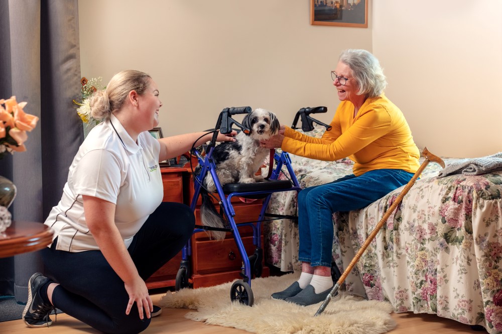 Young woman and elderly lady petting dog seated on a walker