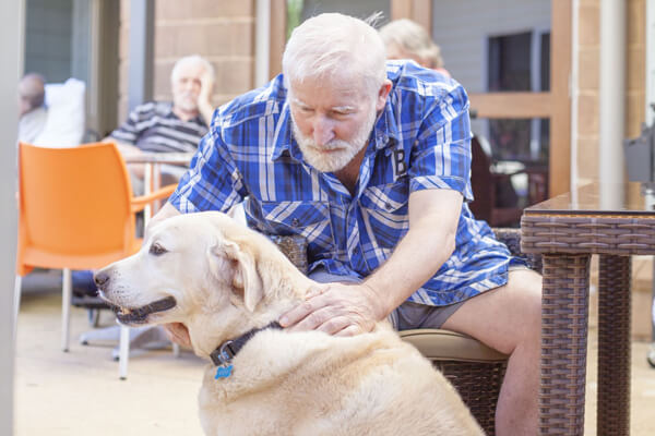 Bangalow Village pets